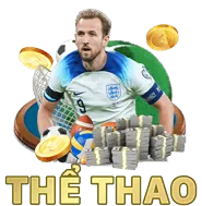 Hình ảnh đá gà, môn thể thao truyền thống được yêu thích tại Việt Nam, có mặt tại AOK88